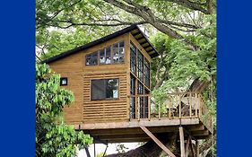 Casa en el Arbol